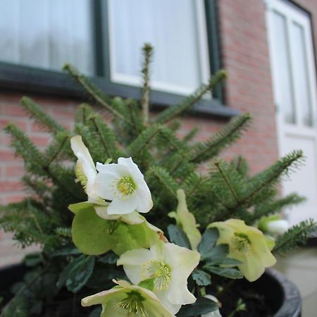 Ferienwohnung Landzicht Woubrugge Exterior foto